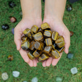 Tiger Eye