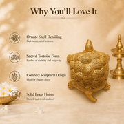 Handcrafted Brass Tortoise Idol