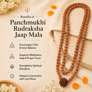 Panchmukhi Rudraksha Jaap Mala