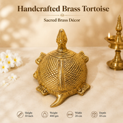 Handcrafted Brass Tortoise