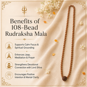 108-Bead Rudraksha Mala with Guru Bead