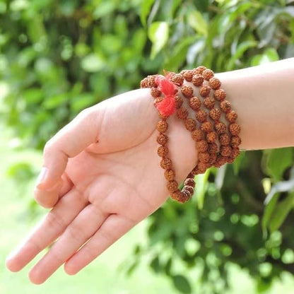 Rudraksha Mala Certified