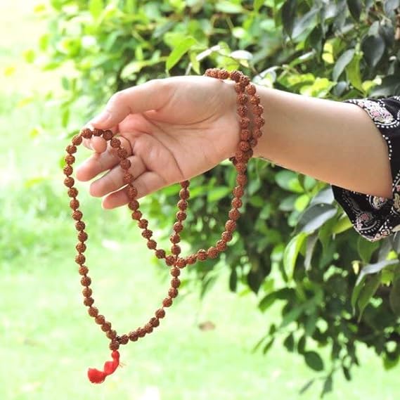 Rudraksha Mala Certified