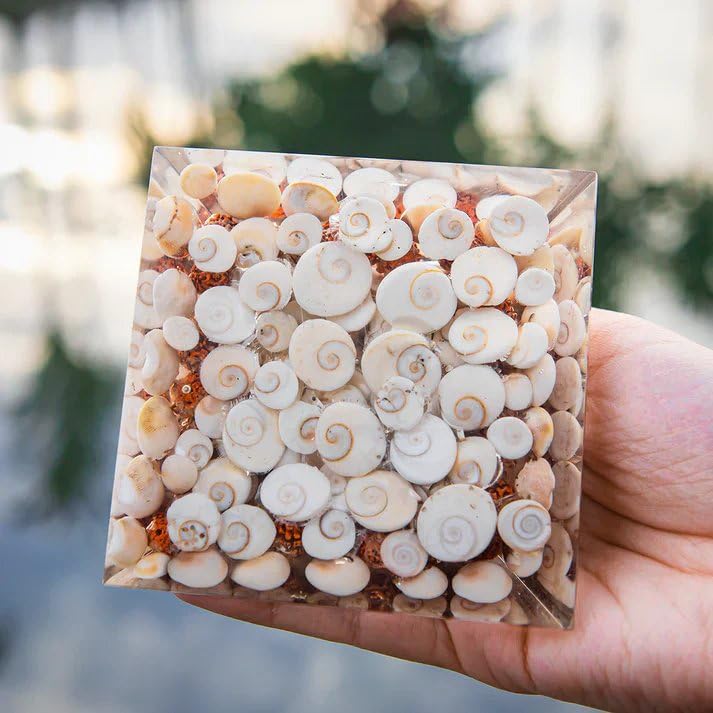 Gomti Chakra Orgonite Pyramid