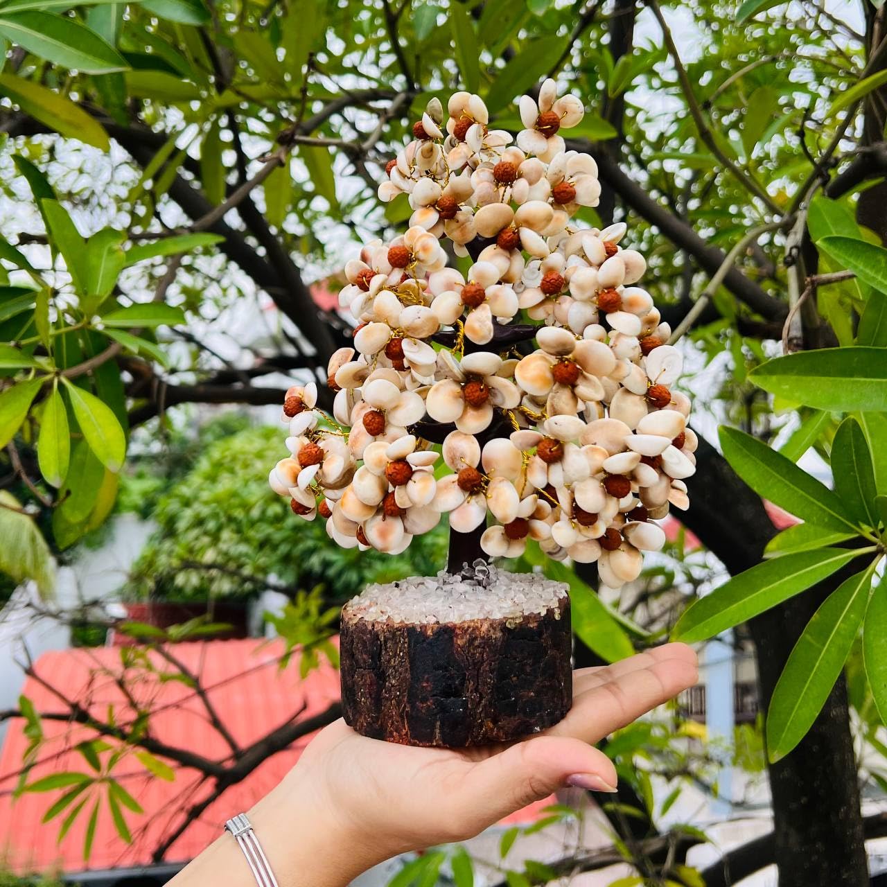 Rudraksha Gomti Chakra Tree for Positive Energy and Spiritual Healing