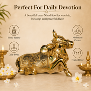Handcrafted Brass Nandi Idol