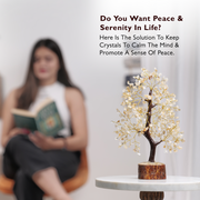 Citrine Crystal Tree For Prosperity & Abundance