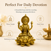 Goddess Lakshmi Seated On Lotus