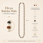 Divya Raksha Rudraksha & Karungali Mala with Silver Capping