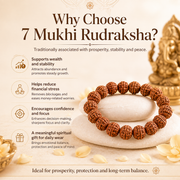 7 Mukhi Rudraksha Bracelet