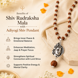 Rudraksha
