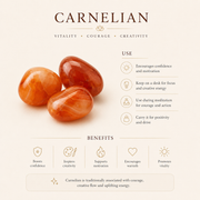 Carnelian Crystal Tree for Confidence, Energy & Success