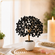 Black Tourmaline Crystal Tree with 300 Natural Stones