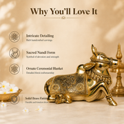 Handcrafted Brass Nandi Idol