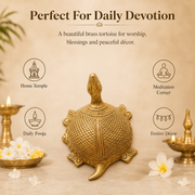 Handcrafted Brass Tortoise