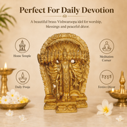 Handcrafted Brass Vishwaroopa Idol