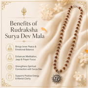 54-Bead Rudraksha Surya Dev Mala