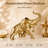 Brass Idols