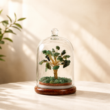 Dome Trees