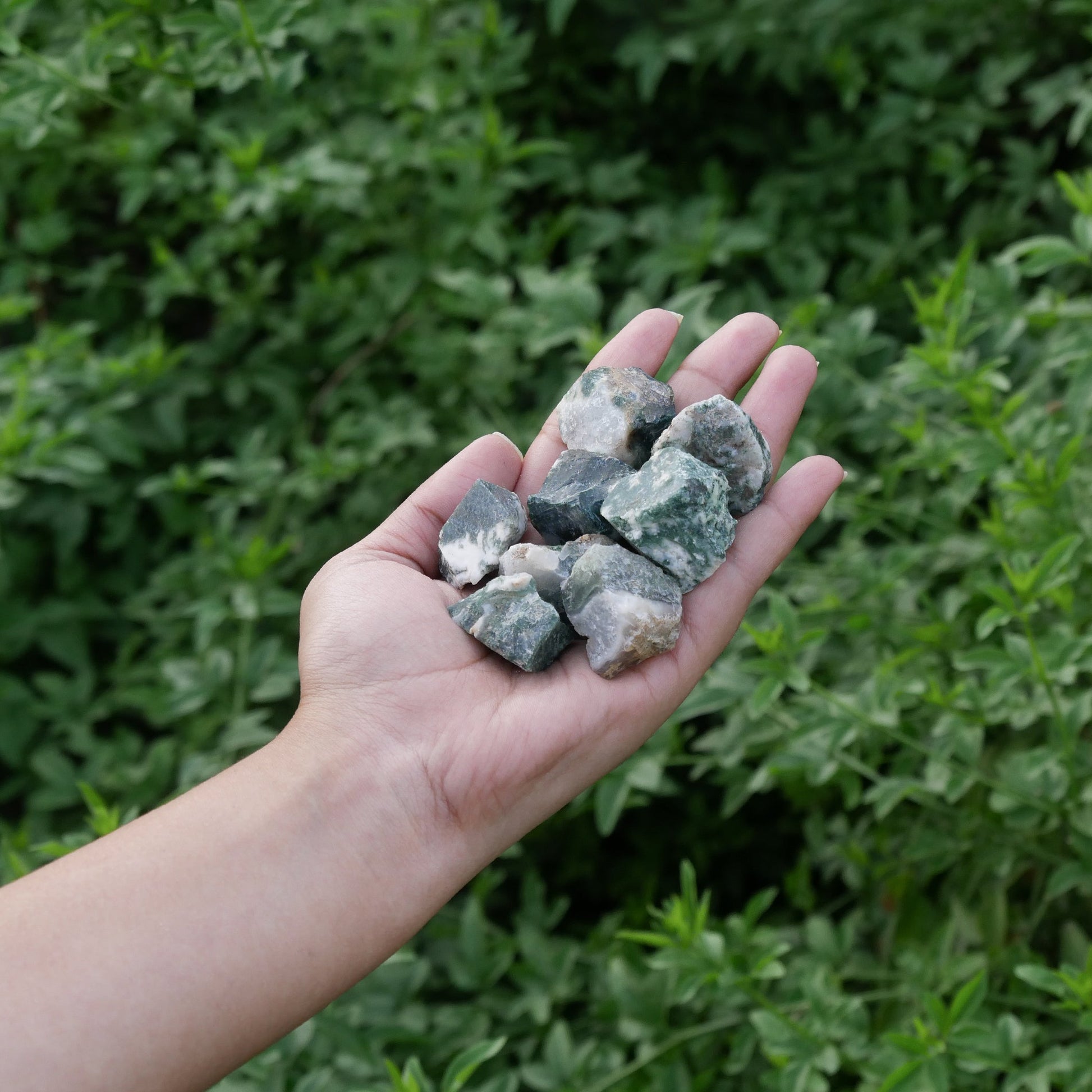 1 Lb Mossagate Raw Crystal - Unpolished - Healing Crystals - Crystal Gift