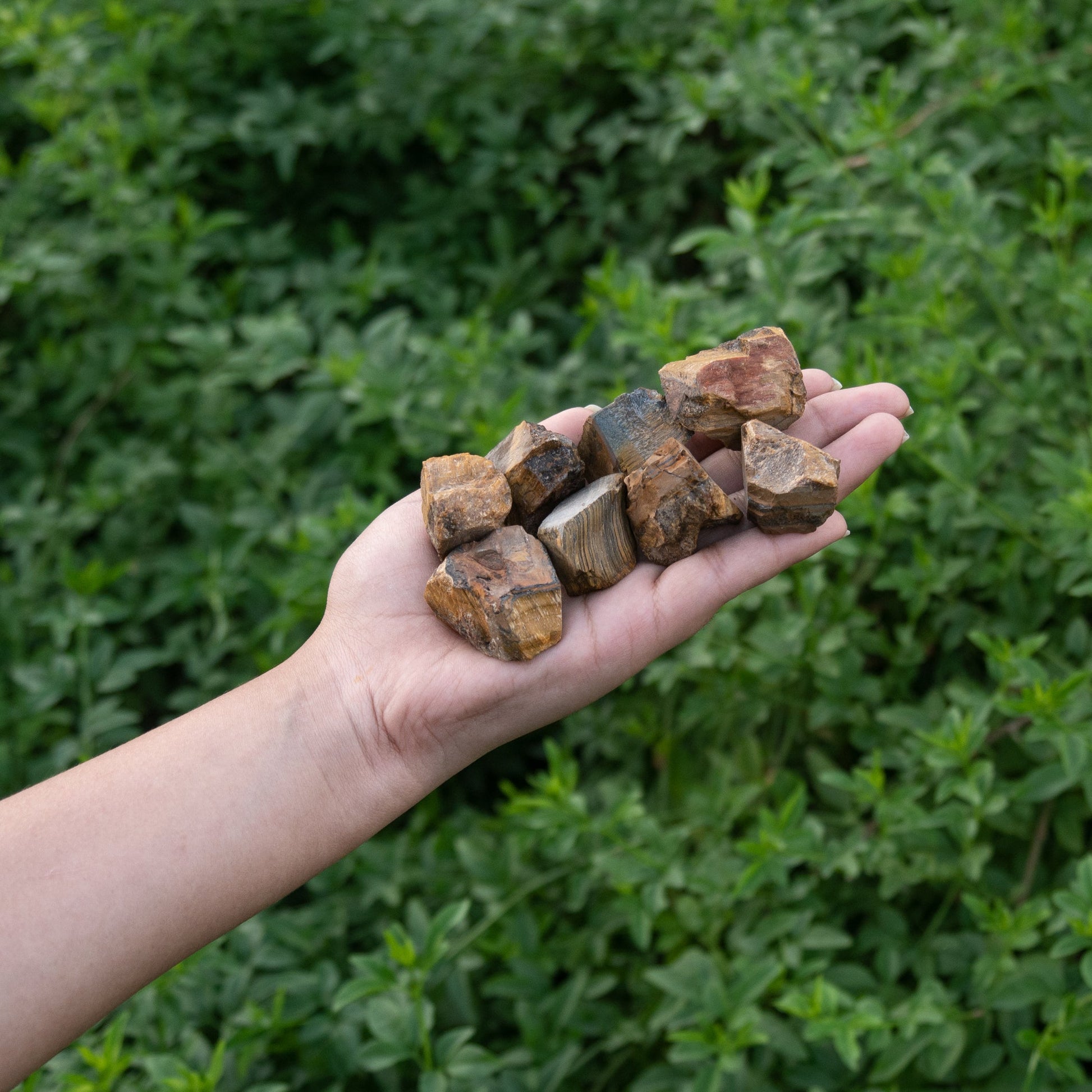 1 Lb Raw Tiger Eye Stone - Raw Crystal Set - Rough Tigers Eye - Crystal Gift