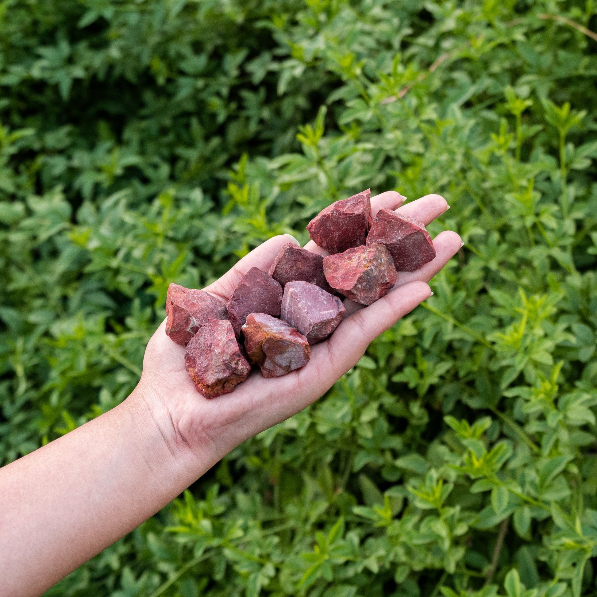 1 Lb Raw Red Jasper - Raw Jasper Rock - Healing Crystals And Stones Gift Set